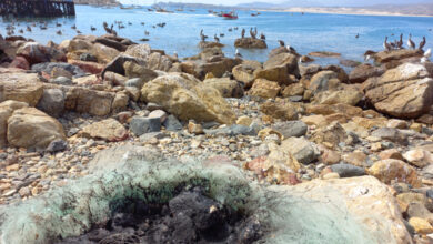 Photo of Anualmente más de 290 toneladas de residuos plásticos de la pesca artesanal quedarían en el mar