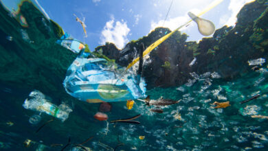Photo of Microplásticos en los océanos: ¿Cuál es el riesgo para nuestra sangre?