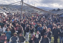 Photo of Más de 10 mil personas disfrutaron de las Fiestas Patrias en el Parque Municipal Notuco de Chonchi