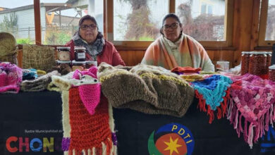 Photo of Municipio de Chonchi reconoció a las Mujeres Indígenas en su día