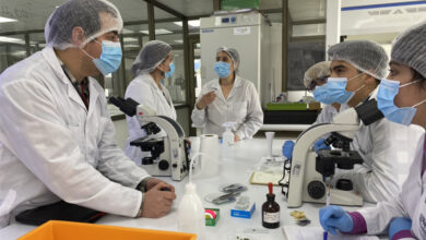Photo of Alumnos de Queilen analizan propiedades del ajo en la Universidad San Sebastián