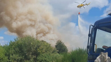 Photo of Incendios forestales en Chiloé suman 90 hectáreas consumidas