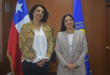 Photo of Ministerio del Medio Ambiente nombra nueva seremi en la región
