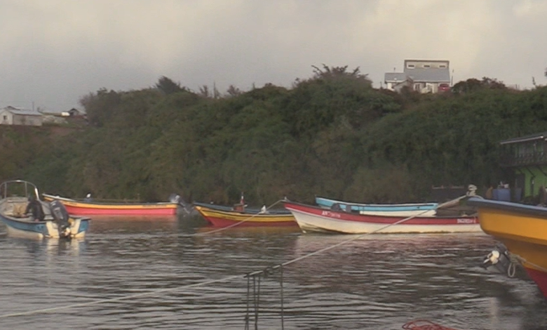 Pescadores preocupados por recurso del Gobierno