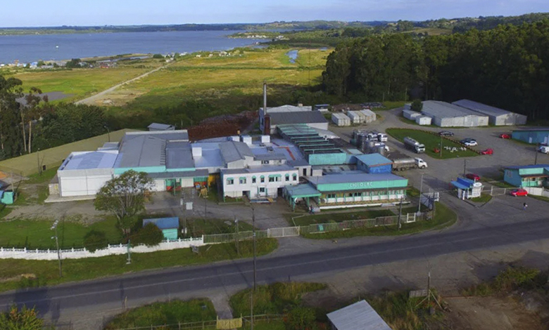 Chilolac garantiza pagos a productores de Ancud