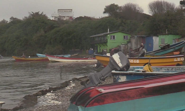 Revés para la pesca artesanal: TC anula suspensión de Ley Lafkenche