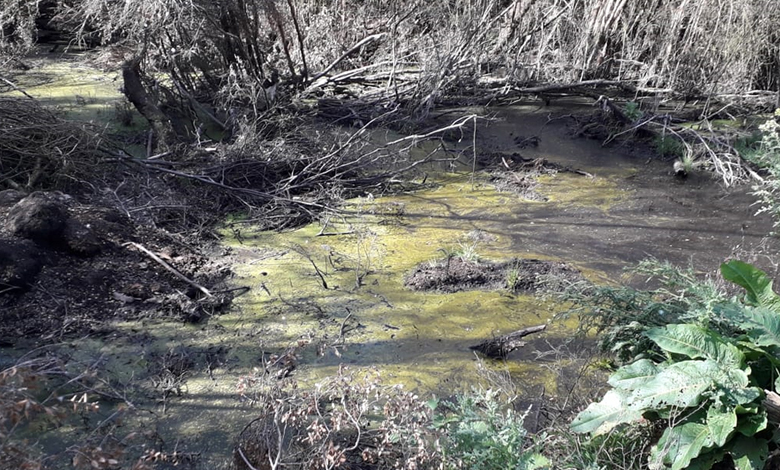 Vecinos de Dicham se oponen a proyecto de manejo de lodos en ex vertedero