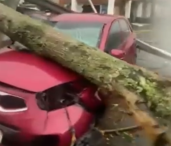 Violento tornado en Puerto Varas deja seis heridos