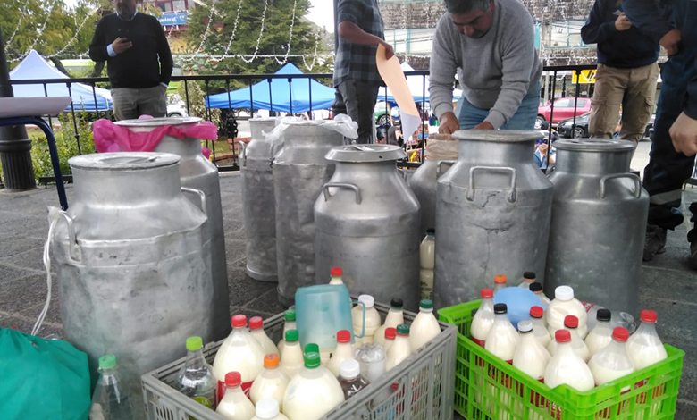 Productores de Ancud mantienen entrega de leche tras cierre de planta Nestlé