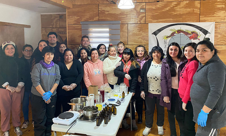 Curso de cosmética natural beneficia a 15 mujeres de Chonchi