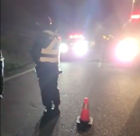 Peatón fallece en accidente en Ruta 5 Sur, Chonchi