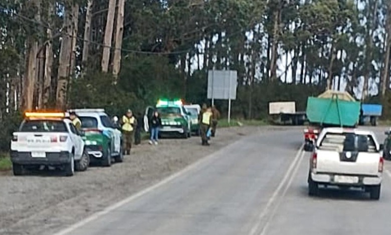 Trabajador fallece aplastado por árbol en Ancud