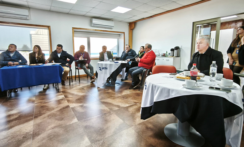 Análisis de subsidios eléctricos e informe de consumo en Chiloé