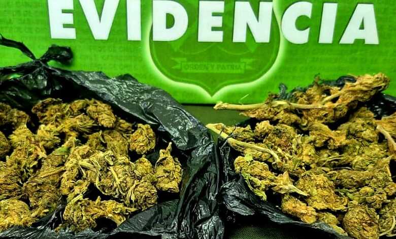 Detenido hombre con orden vigente y marihuana en Ancud