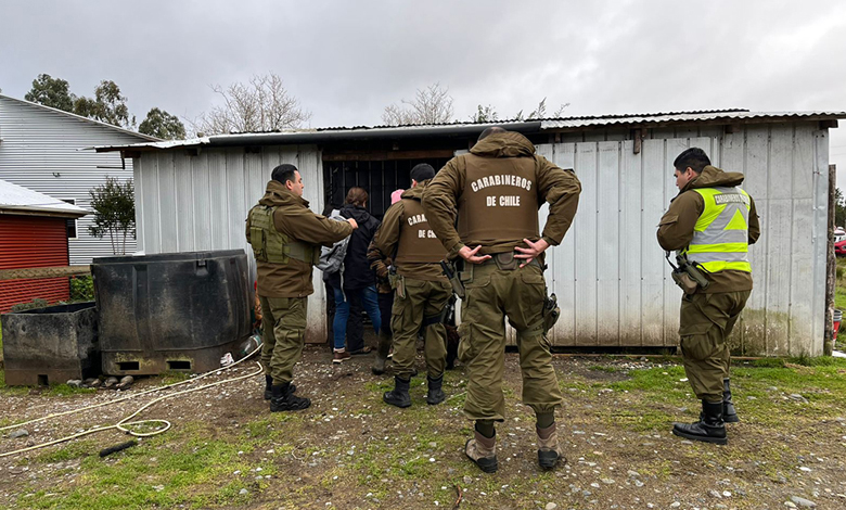 Planta clandestina descubierta en sector rural de Ancud