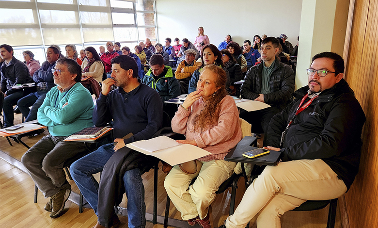 Proyecto Santo Tomás: Solución tecnológica para polinización segura en apicultura