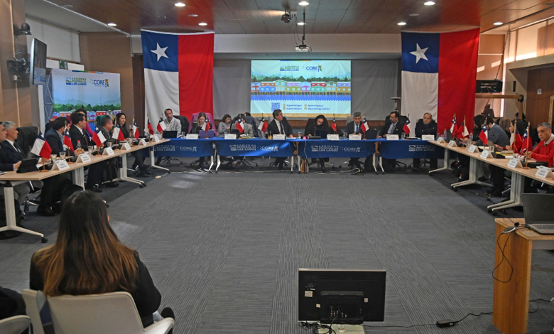 Consejo Regional aprueba proyecto de Cancha Rayada de Castro