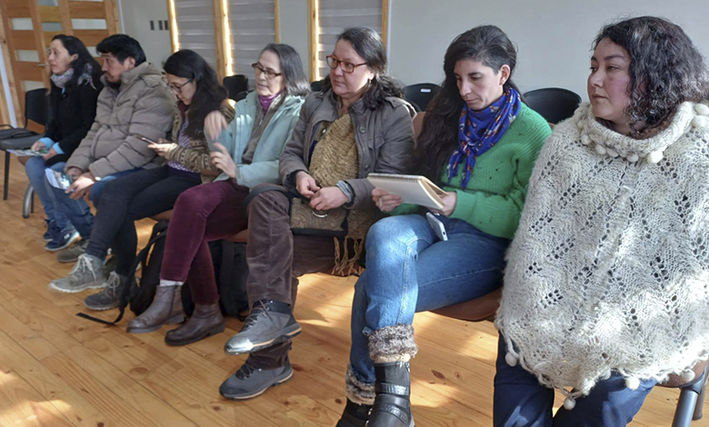 Participación de representantes en PLADECO medioambiente