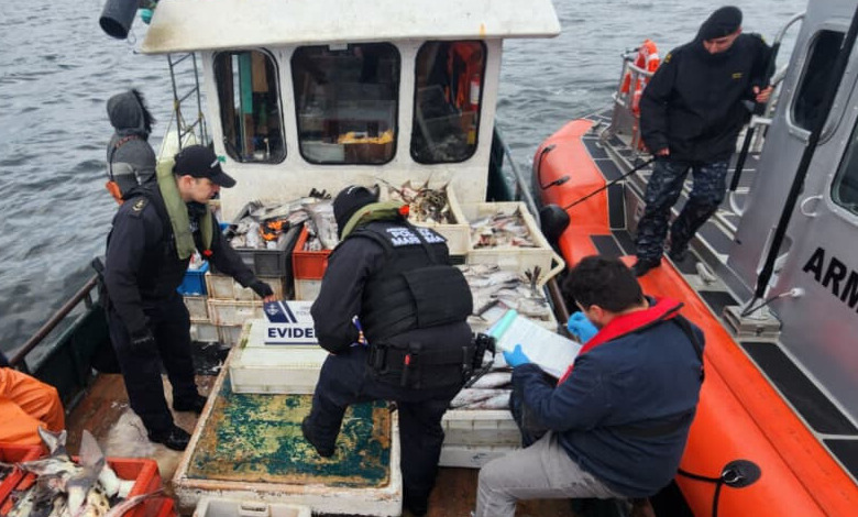 Sernapesca y Armada detectan 7 embarcaciones ilegales en golfo de Ancud