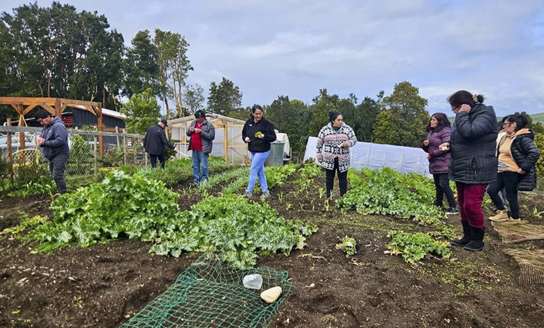 Manejo integrado de plagas en hortalizas: Capacitación en Aituy