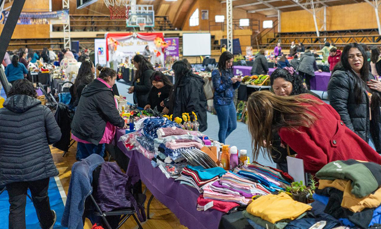 Encuentro Provincial Mujeres Jefas de Hogar en Dalcahue